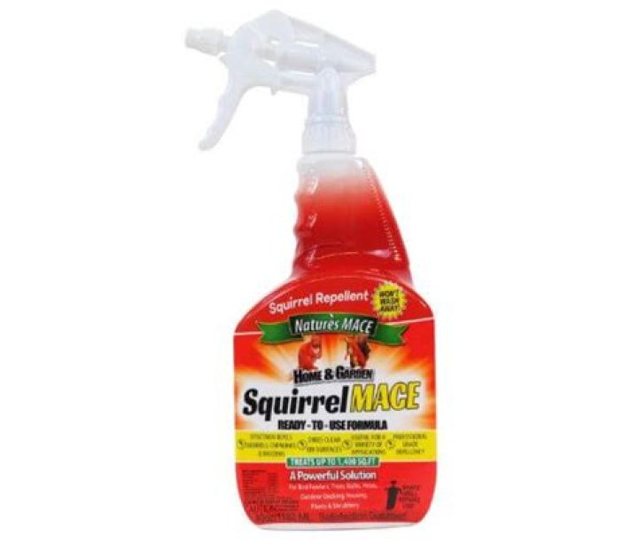 Does Pine Sol keep squirrels away?
