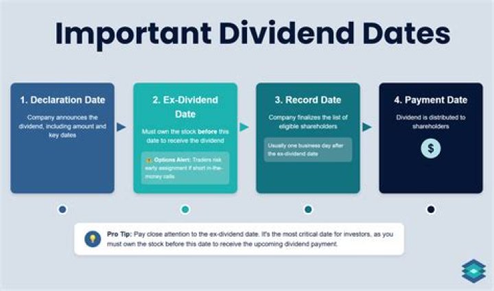 Does twitter pay a dividend?
