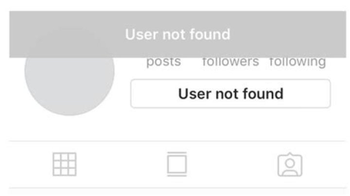 Does user not found mean someone blocked you?