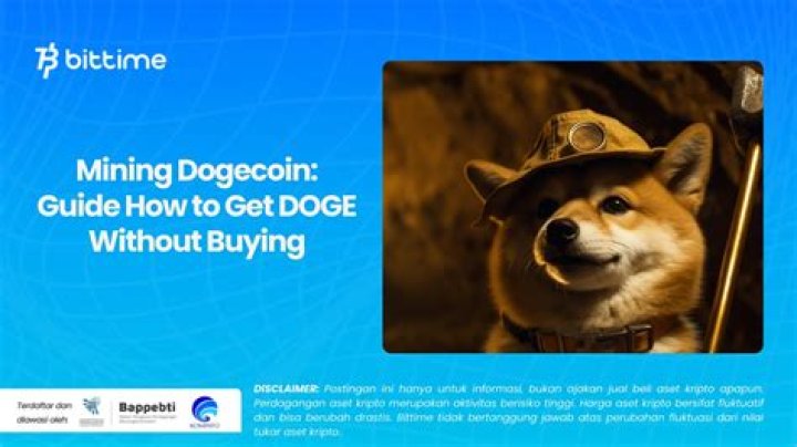 How big could Dogecoin get?