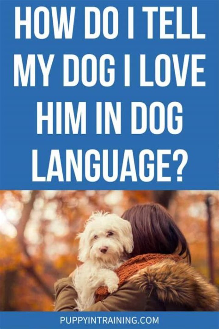 How can I tell my dog I love her?