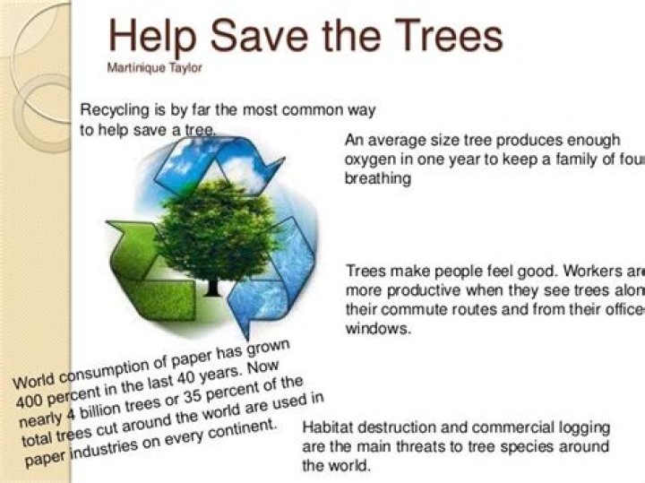 How can save the tree?