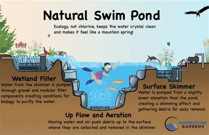 How deep should a swimming pond be?