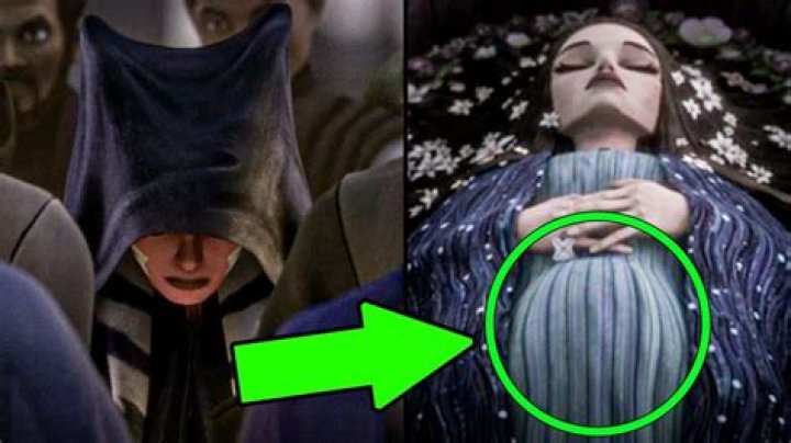 How did Padmé get pregnant?