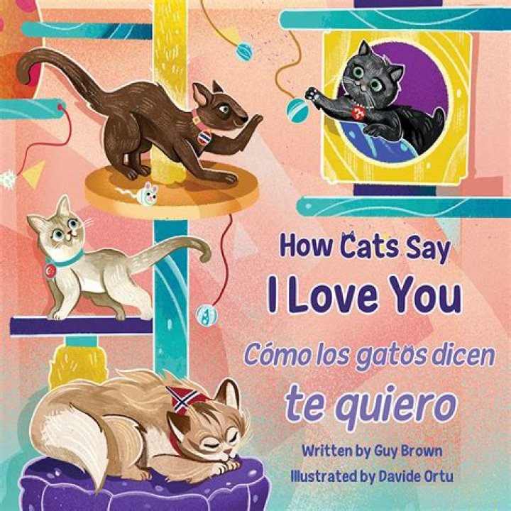 How do cats say I love you to their owners?