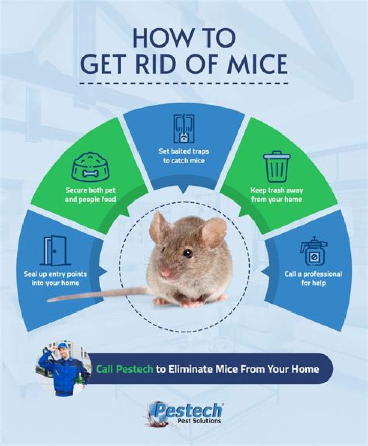 How do I get rid of mice in my air conditioner?