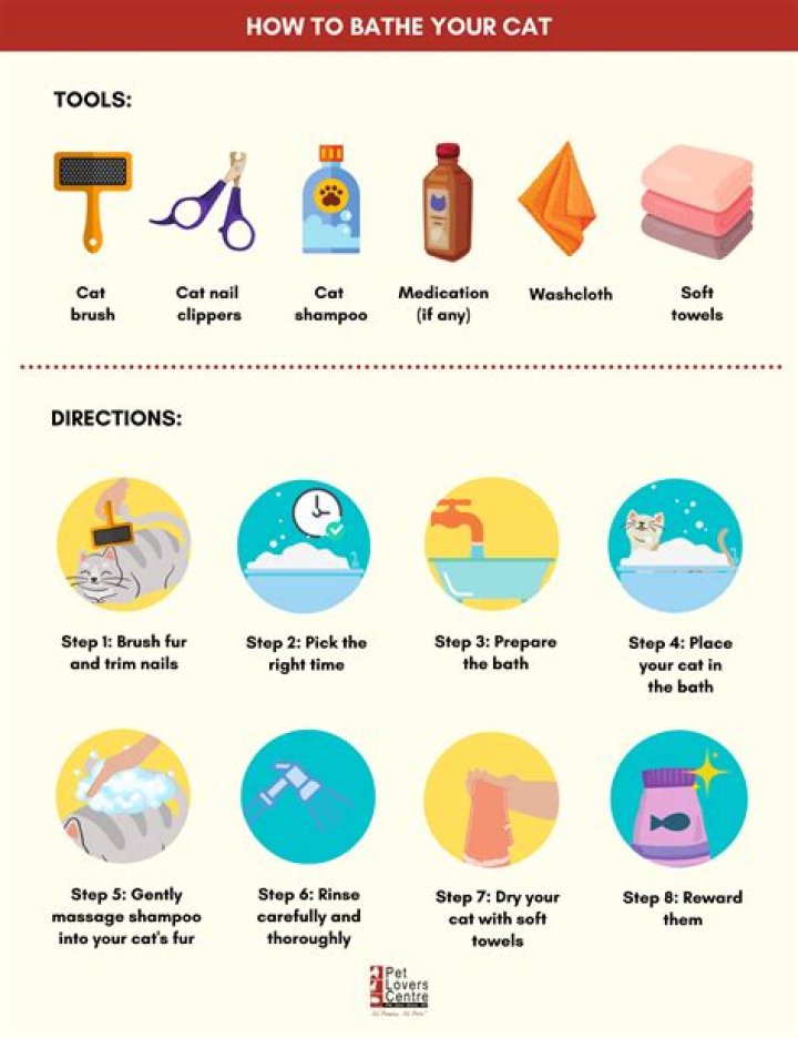 How do I know if my cat needs a bath?