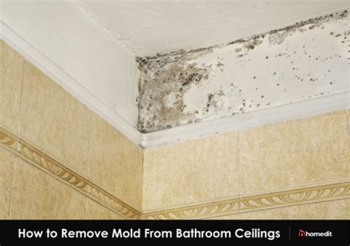 How do I stop mould growing on my ceiling?