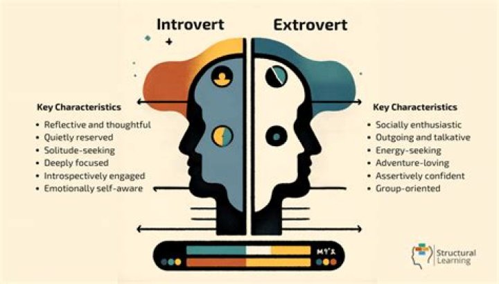How do introverts socialize?