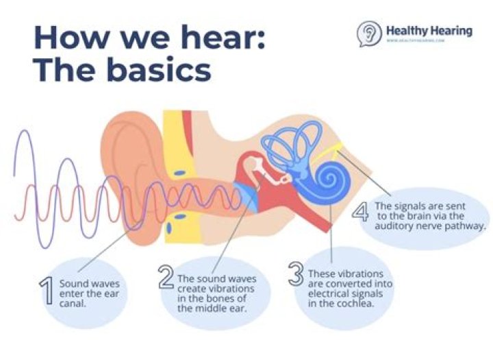 How do we hear music in our heads?