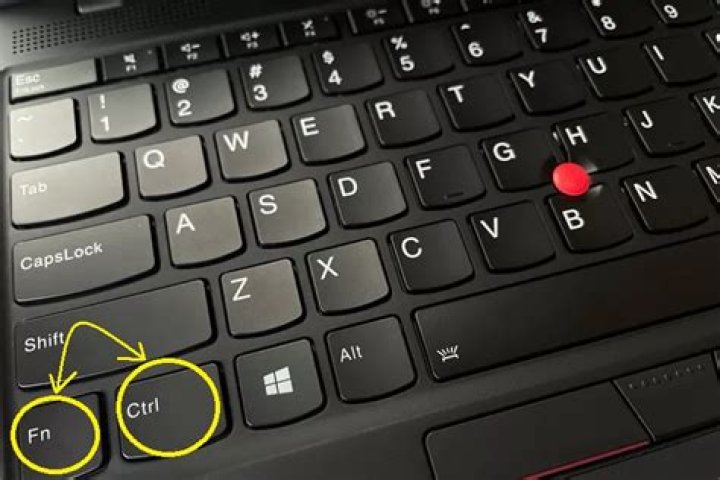 How do you change the Fn and Ctrl key on a Lenovo?