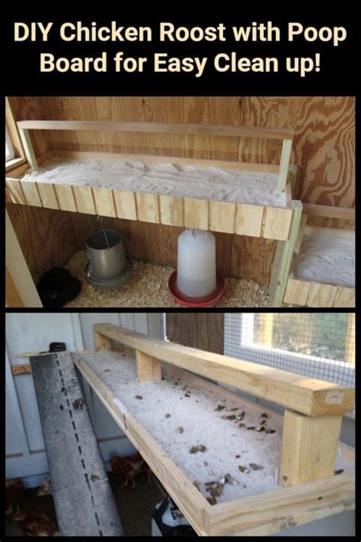 How do you clean chicken poop?