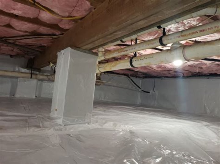 How do you disinfect a crawl space?