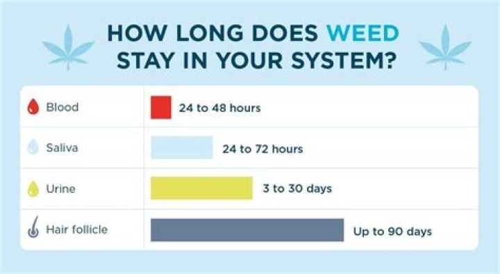 How do you get delta-8 out of your system in one day?