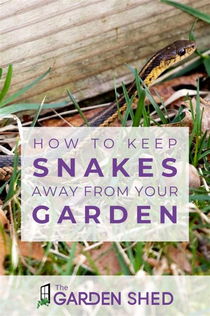 How do you keep snakes out of landscaping?