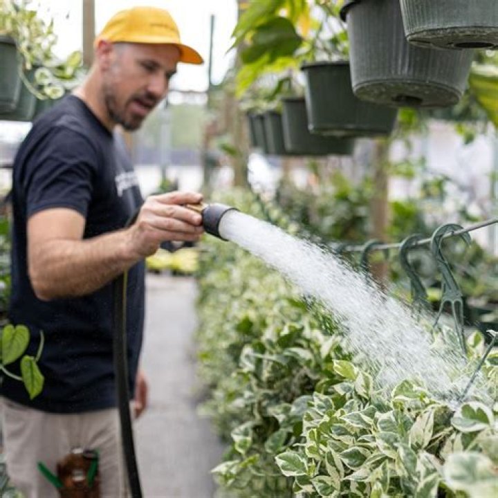 How do you know if you are overwatering your plants?