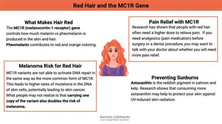 How do you know if you carry the red hair gene?