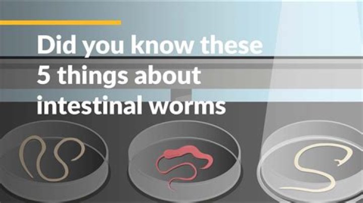 How do you know if you have intestinal parasites?