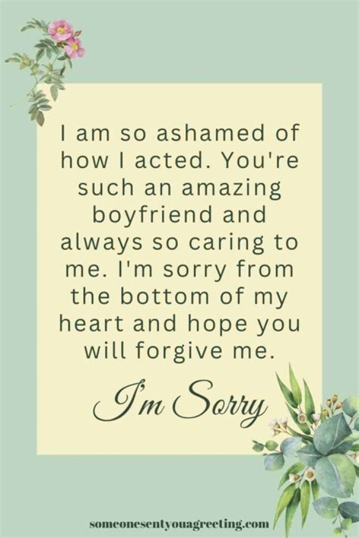 How do you say sorry to someone who is ignoring you?