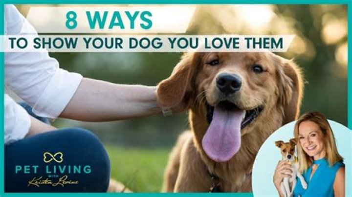 How do you show your dog you are the leader?