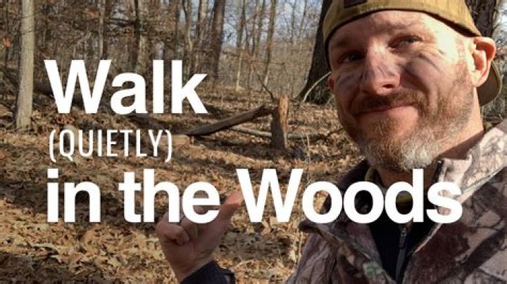 How do you walk silently in the woods?
