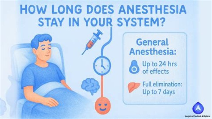 How long does anesthesia stay in your system?
