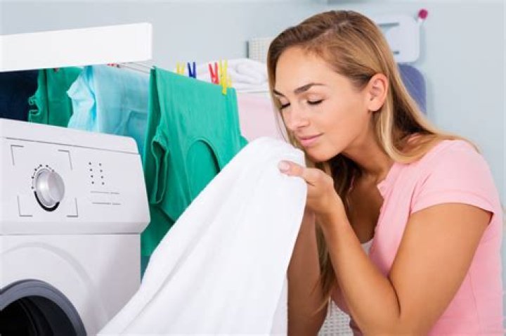 How long does human scent last on clothing?