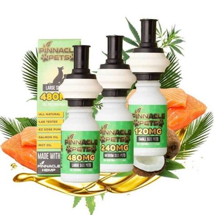 How long does it take for CBD oil to start working in dogs?