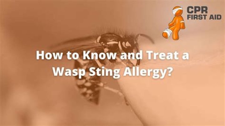 How long does it take to have an allergic reaction to a wasp sting?