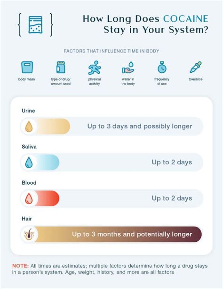 How long does triamcinolone stay in your system?