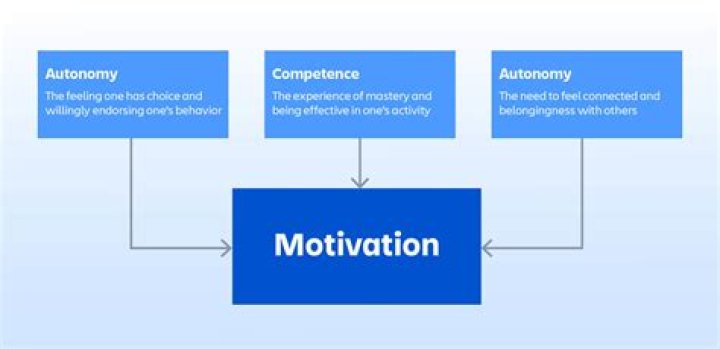 How many different theories of motivation are there?