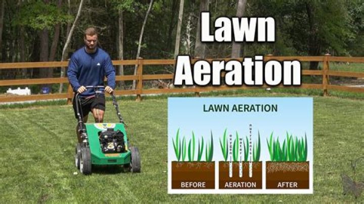 How many times can I aerate my lawn?