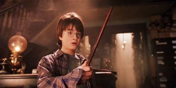 How much was Daniel Radcliffe paid for Harry Potter?