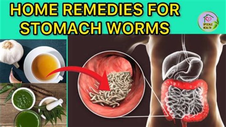How often should I take worm medicine?