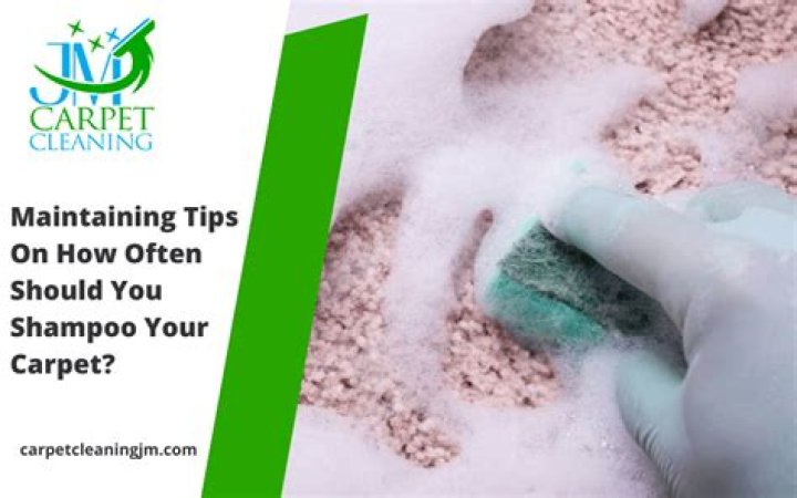 How often should you shampoo your carpet?