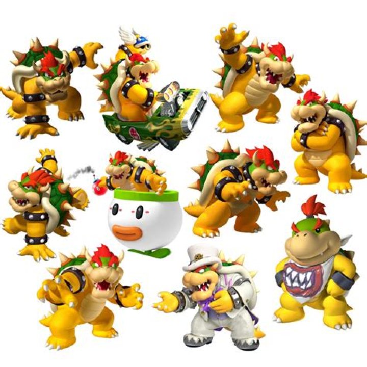 Is Bowser abusive?