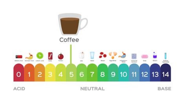 Is coffee an acid or base?