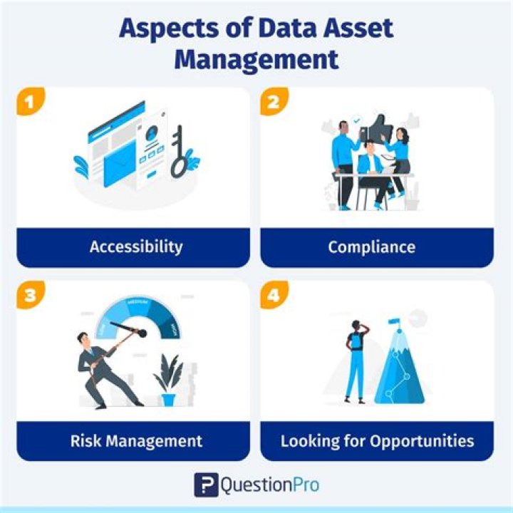 Is data a capital asset?