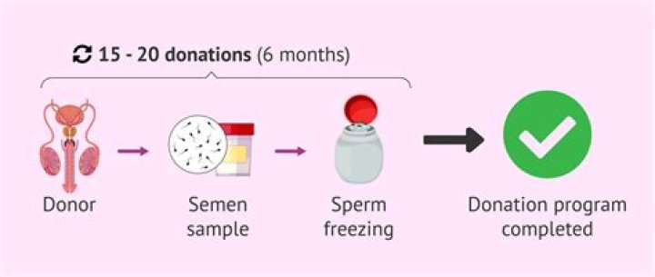 Is donating sperm haram?