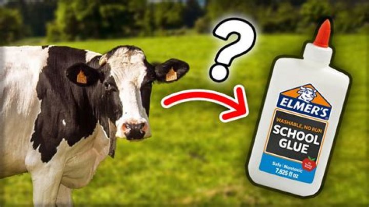 Is Elmer's glue made from cows?