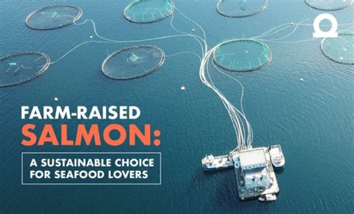 Is farm raised salmon good?
