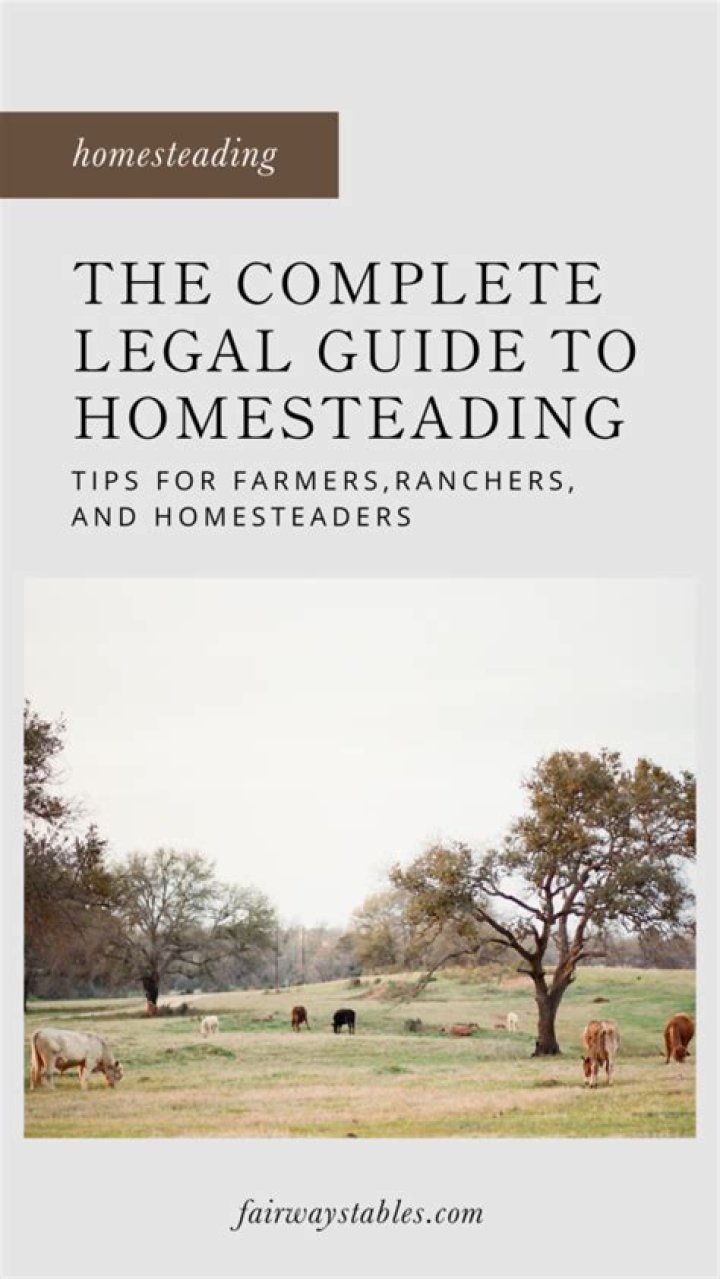 Is homesteading legal in Texas?