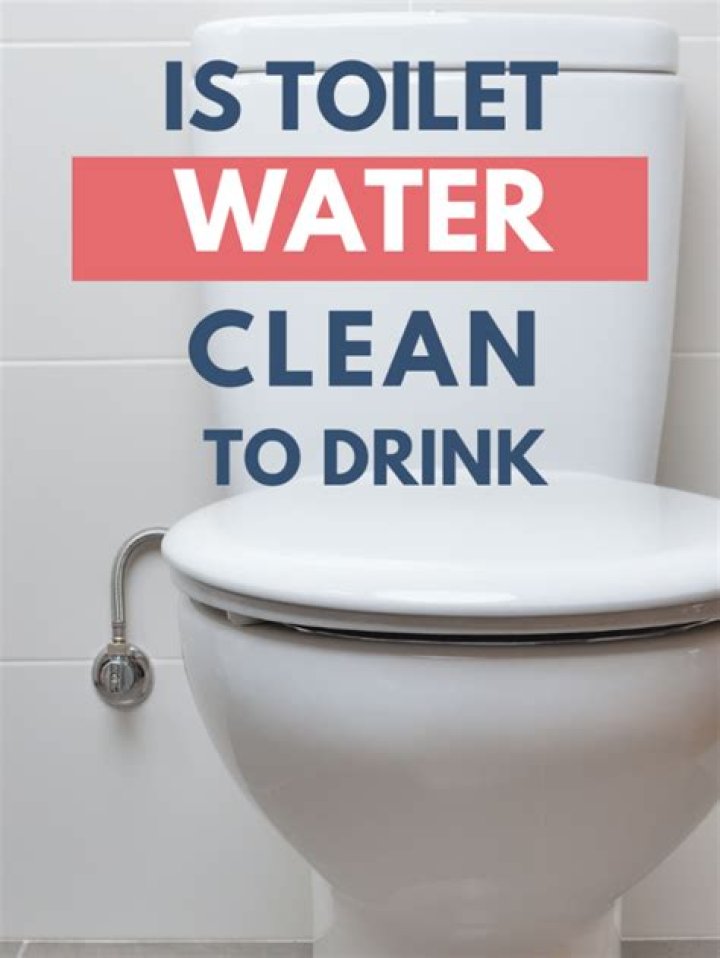 Is it OK to drink toilet water?