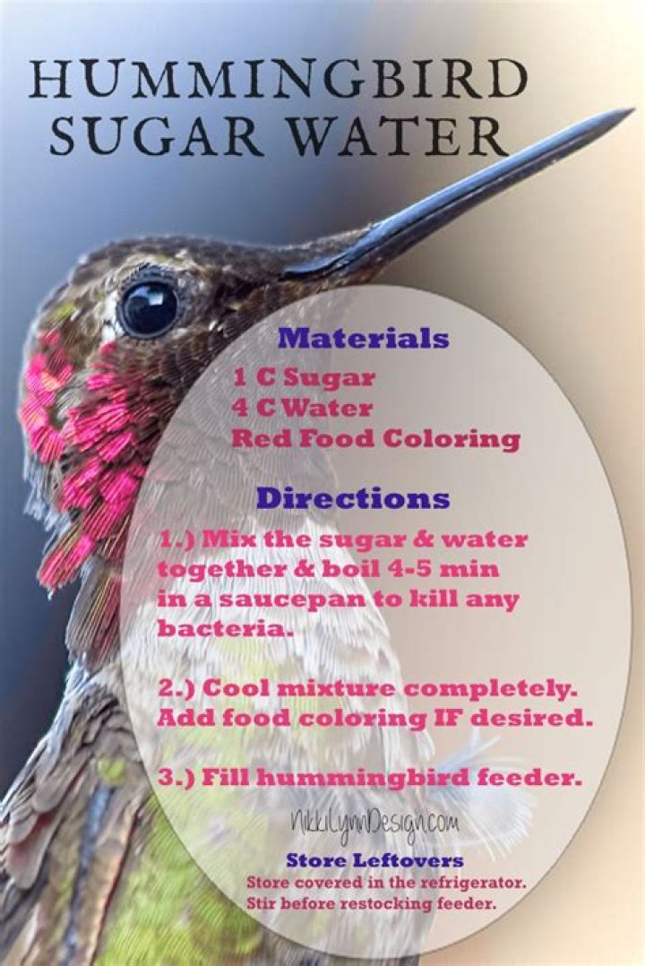 Is it OK to feed hummingbirds cold sugar water?