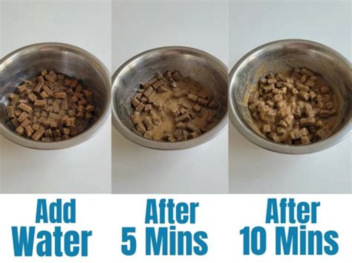 Is it OK to soak dog food in water overnight?