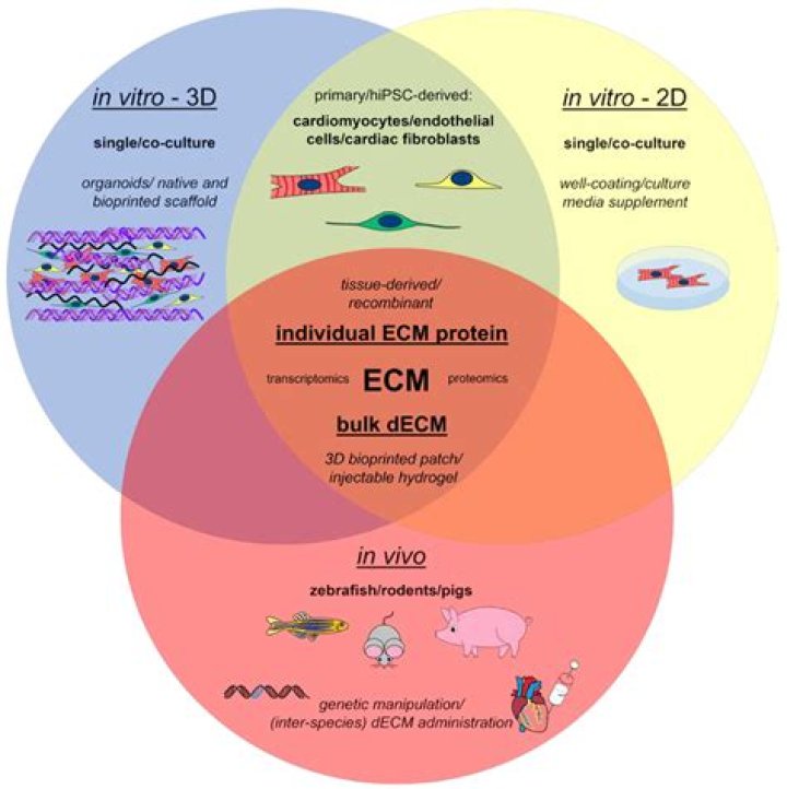 Is it possible for Dogecoin to hit $1?