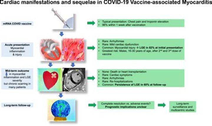 Is myocarditis more common in children after the COVID-19 vaccine?