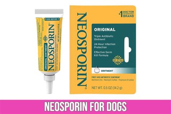 Is Neosporin safe for dogs paws?