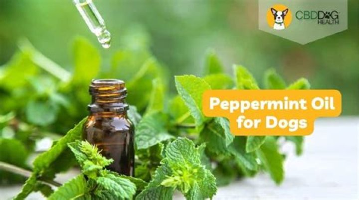 Is peppermint oil safe for pets?