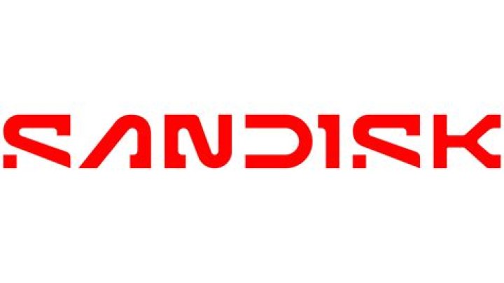 Is SanDisk a company?